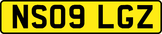 NS09LGZ