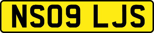NS09LJS