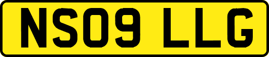 NS09LLG