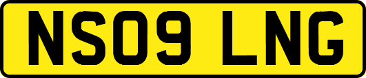 NS09LNG