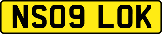 NS09LOK