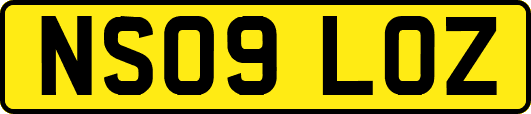 NS09LOZ