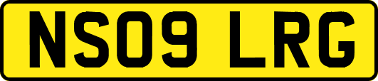 NS09LRG