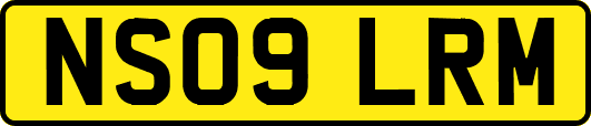 NS09LRM
