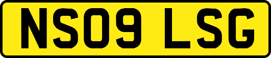 NS09LSG