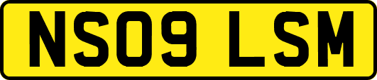 NS09LSM