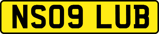 NS09LUB