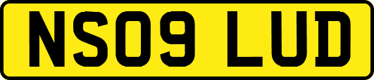 NS09LUD