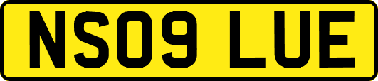 NS09LUE