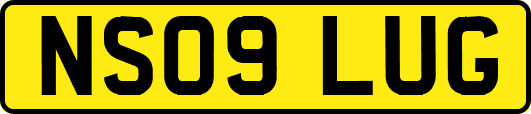 NS09LUG