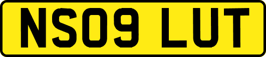 NS09LUT