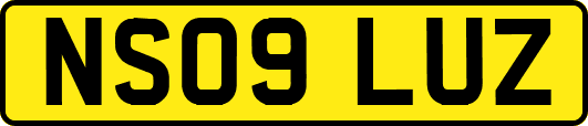 NS09LUZ