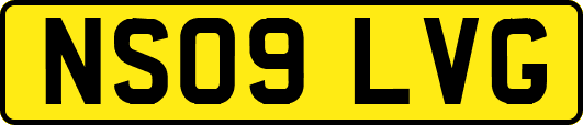 NS09LVG