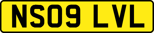 NS09LVL