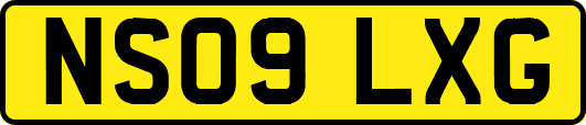 NS09LXG
