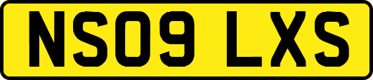 NS09LXS