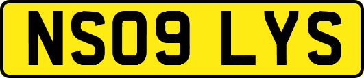NS09LYS