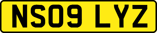 NS09LYZ