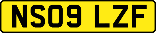 NS09LZF