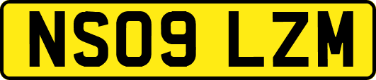 NS09LZM