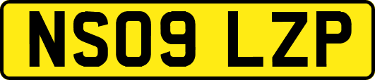 NS09LZP
