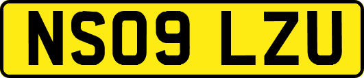 NS09LZU