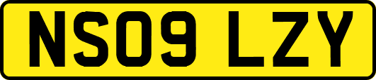 NS09LZY