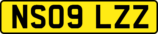 NS09LZZ
