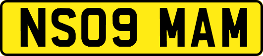 NS09MAM
