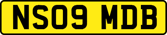 NS09MDB