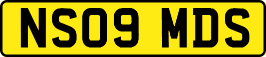 NS09MDS