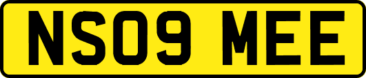 NS09MEE