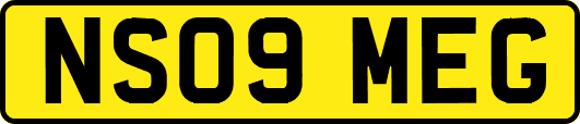 NS09MEG