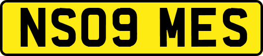 NS09MES
