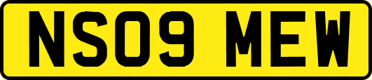 NS09MEW