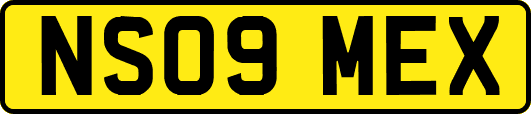 NS09MEX