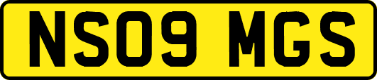 NS09MGS