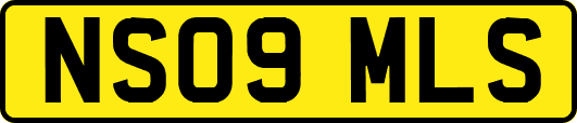 NS09MLS