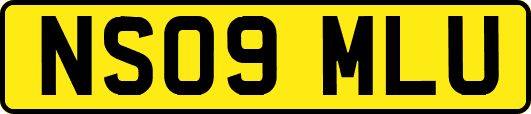 NS09MLU