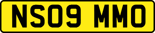 NS09MMO