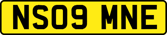 NS09MNE