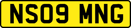 NS09MNG