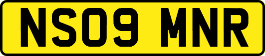 NS09MNR