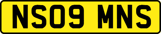 NS09MNS