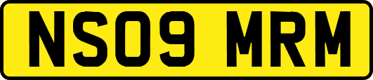 NS09MRM