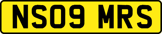 NS09MRS