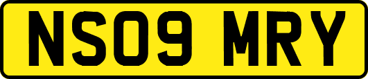 NS09MRY