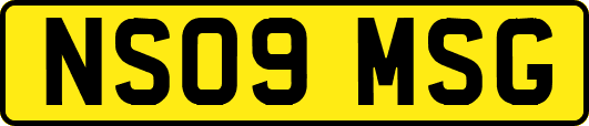 NS09MSG