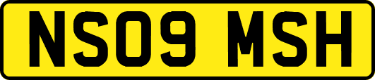 NS09MSH