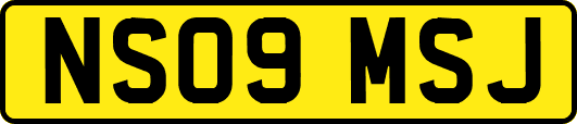 NS09MSJ